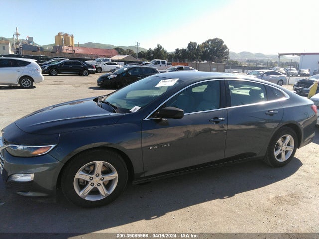 Chevrolet Malibu 1fl 2019 1G1ZC5ST7KF135973 Image 14