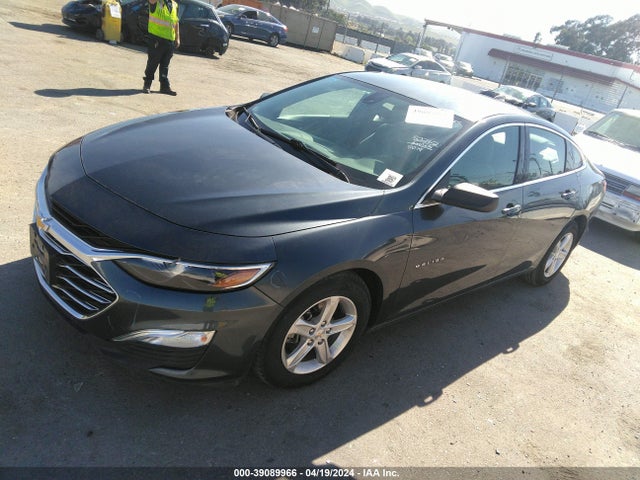 Chevrolet Malibu 1fl 2019 1G1ZC5ST7KF135973 Image 2