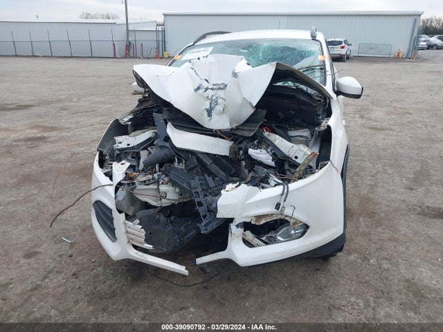 Ford ESCAPE SE 2014 1FMCU0GXXEUA37928 Image 6