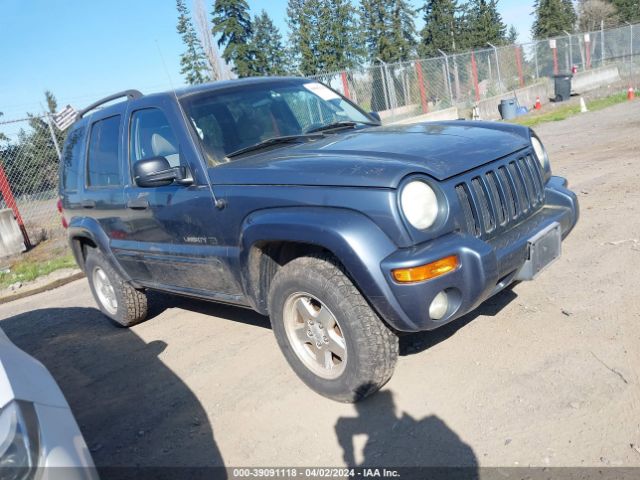 Auction sale of the 2002 Jeep Liberty Limited Edition, vin: 1J4GL58K22W176678, lot number: 39091118