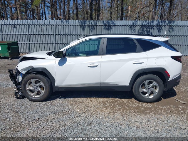 Hyundai TUCSON SEL 2024 KM8JBCDE6RU283446 Image 14