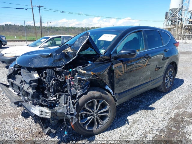 Honda Cr-v Awd Ex-l 2020 5J6RW2H81LL047286 Image 2