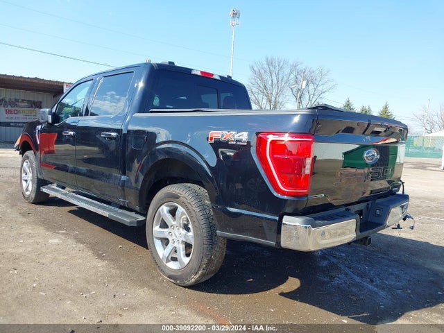 Ford F-150 Xlt 2023 1FTEW1EP5PFD28599 Image 3