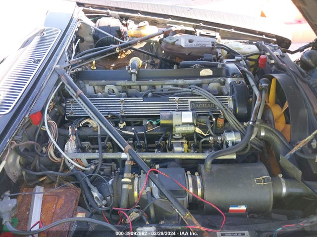 1986 JAGUAR XJ6 SAJAV1346GC443287 Photo 9