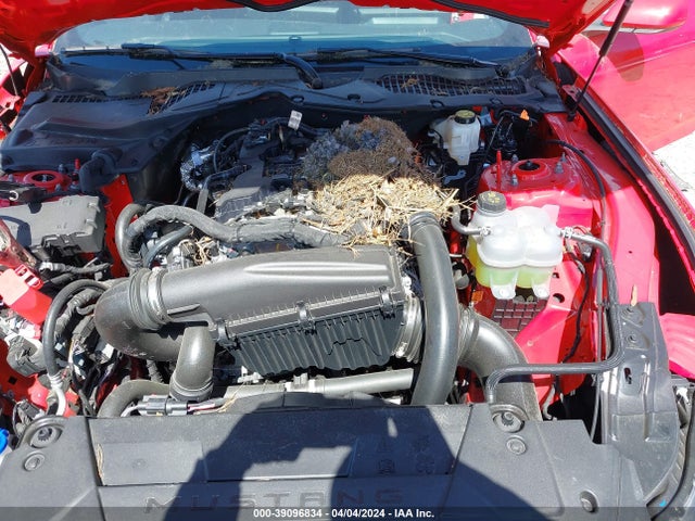 Ford Mustang Ecoboost Fastback 2024 1FA6P8TH8R5107020 Image 10