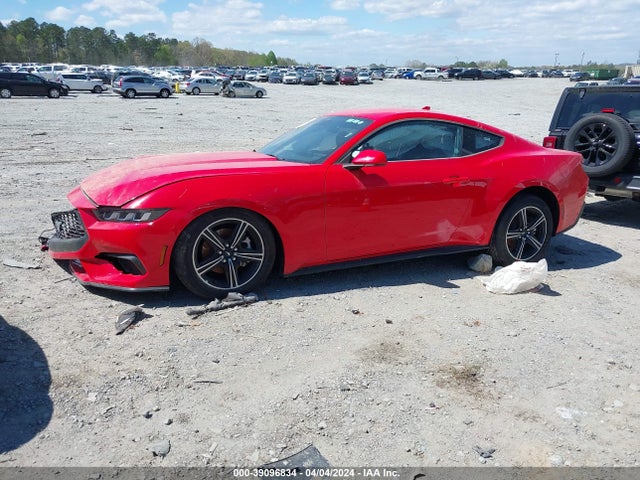 Ford Mustang Ecoboost Fastback 2024 1FA6P8TH8R5107020 Image 13