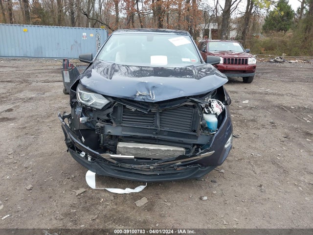 Chevrolet EQUINOX LS 2019 3GNAXHEV8KS521716 Image 6