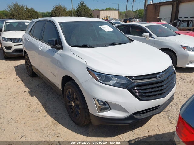 Chevrolet EQUINOX LS 2019 3GNAXSEV1KS618253 main image