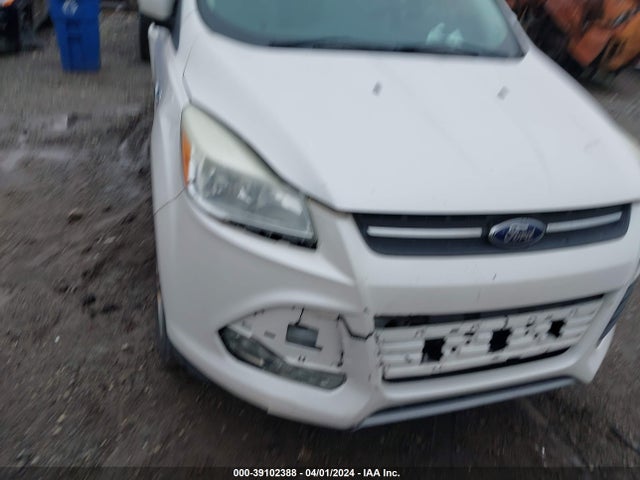 Ford ESCAPE SE 2014 1FMCU9GX1EUC97459 Image 6