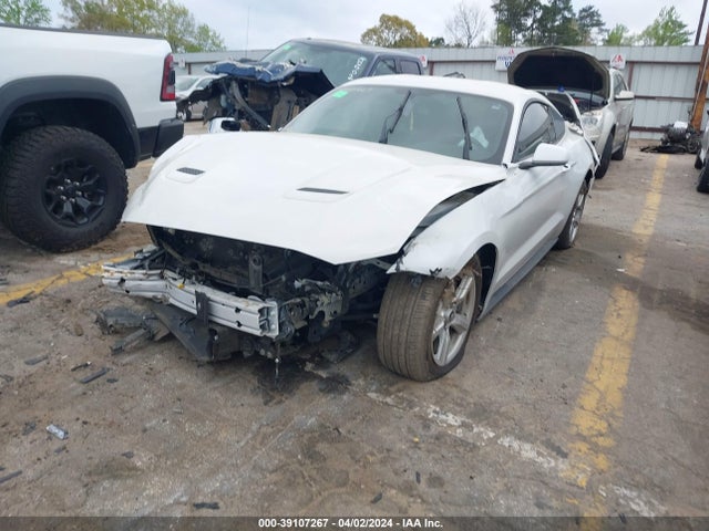 Ford Mustang Ecoboost 2019 1FA6P8TH0K5116994 Image 2