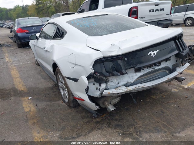 Ford Mustang Ecoboost 2019 1FA6P8TH0K5116994 Image 3