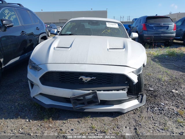 Ford Mustang Ecoboost Fastback 2021 1FA6P8TH5M5146348 Image 12