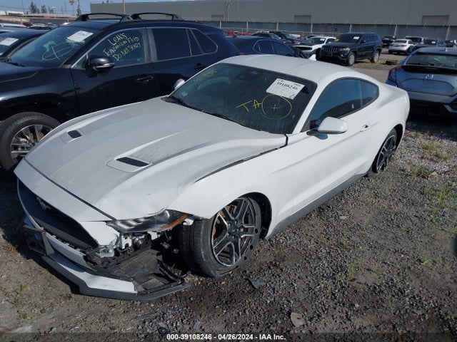 Ford Mustang Ecoboost Fastback 2021 1FA6P8TH5M5146348 Image 2