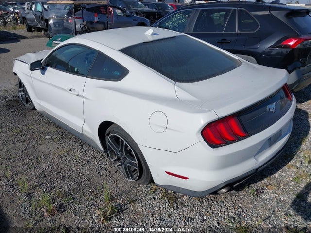 Ford Mustang Ecoboost Fastback 2021 1FA6P8TH5M5146348 Image 3