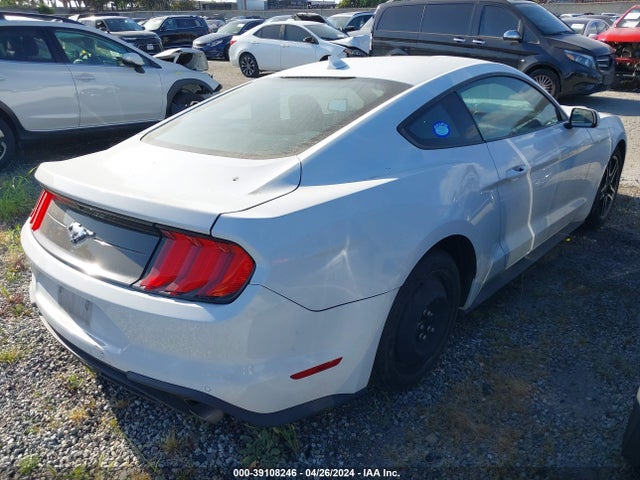 Ford Mustang Ecoboost Fastback 2021 1FA6P8TH5M5146348 Image 4