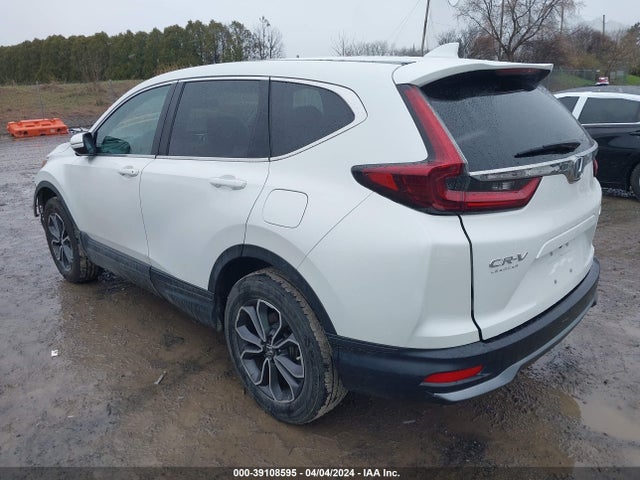 Honda Cr-v Awd Ex 2020 5J6RW2H52LL031779 Image 3