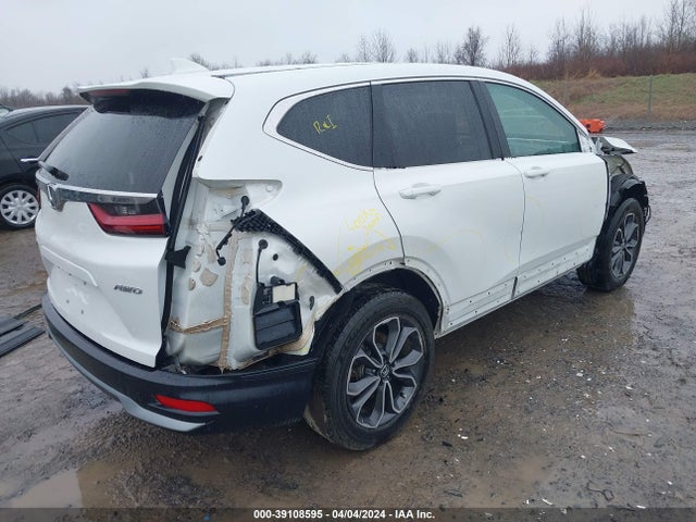 Honda Cr-v Awd Ex 2020 5J6RW2H52LL031779 Image 4