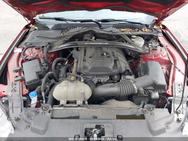 Ford Mustang Ecoboost Premium Fastback 2021 1FA6P8TD4M5116996 Image 10