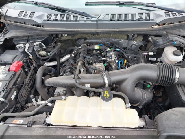 Ford F-150 Xlt 2019 1FTEW1EP3KFB78954 Image 10