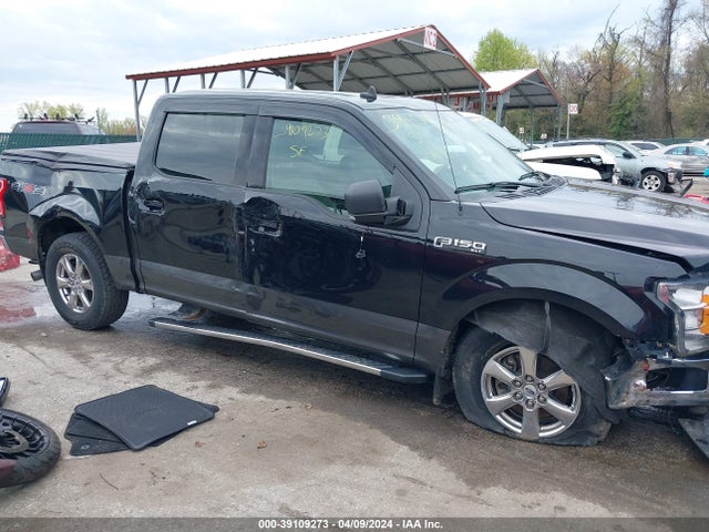 Ford F-150 Xlt 2019 1FTEW1EP3KFB78954 Image 14