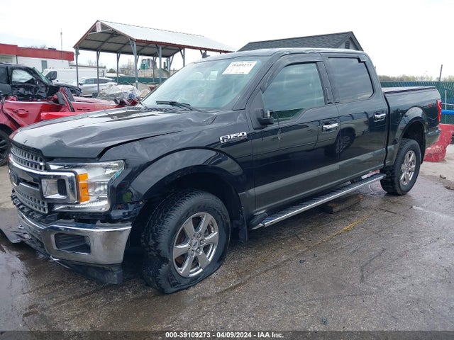 Ford F-150 Xlt 2019 1FTEW1EP3KFB78954 Image 2