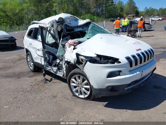 2017 1C4PJLDB4HW517772 главное изображение