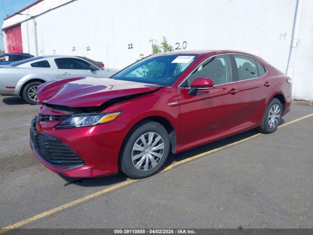4T1E31AK1LU016851 Toyota Camry Le Hybrid