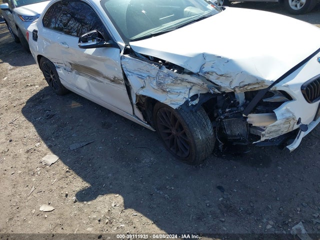 BMW 228i Xdrive 2016 WBA1G9C53GV598915 Image 6