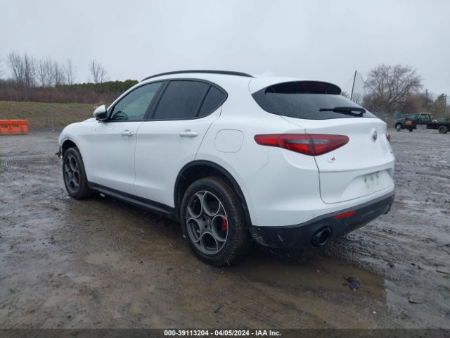 2022 ALFA ROMEO STELVIO ZASPAKAN9N7D28217 Photo 2