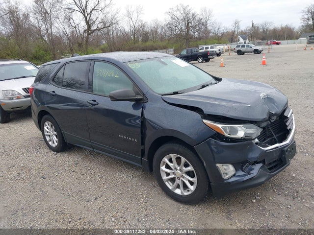 Chevrolet EQUINOX LS 2019 3GNAXHEV3KL143203 zdjęcie główne