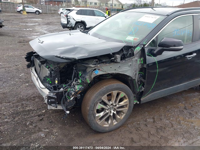 Toyota Rav4 Limited 2019 JTMN1RFV5KD022520 Image 18