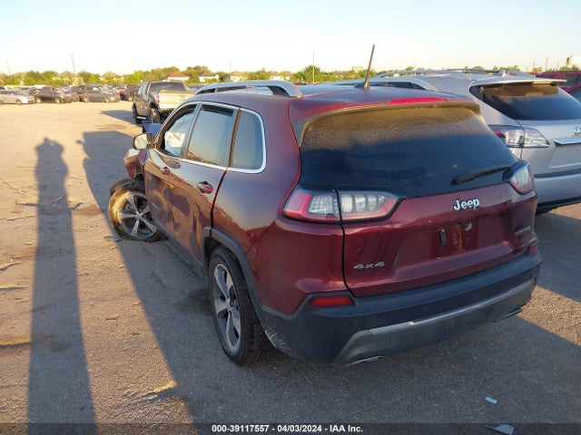 Jeep Cherokee Limited 4x4 2019 1C4PJMDX6KD231605 Image 3