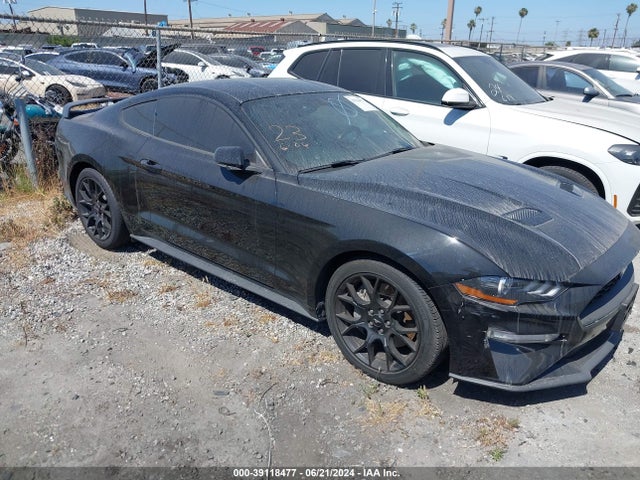 2019 1FA6P8TH5K5135055 main image