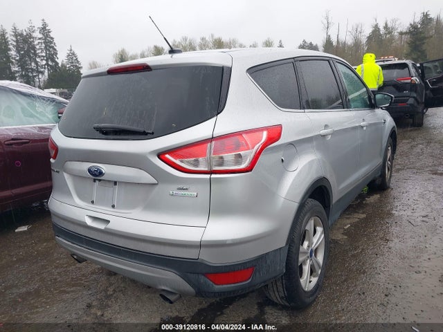 Ford ESCAPE SE 2014 1FMCU0GX1EUB48030 Image 4