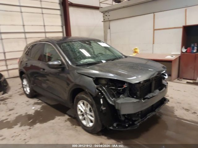 Auction sale of the 2020 Ford Escape Se, vin: 1FMCU9G62LUB04904, lot number: 39121912