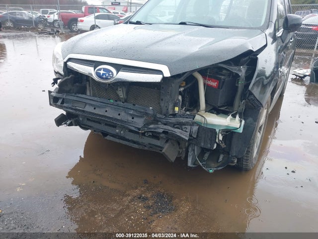 Subaru Forester 2.5i Limited 2016 JF2SJAHCXGH490129 Image 6
