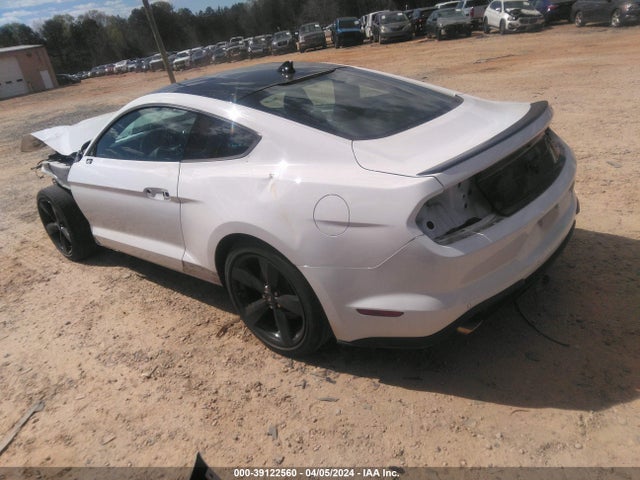 Ford Mustang Ecoboost Fastback 2021 1FA6P8TH2M5113758 Image 3