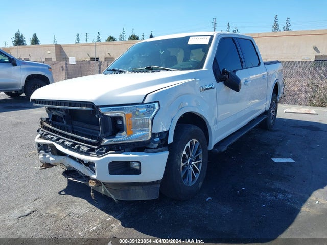 Ford F-150 Xlt 2019 1FTEW1EP0KFD44623 Image 2