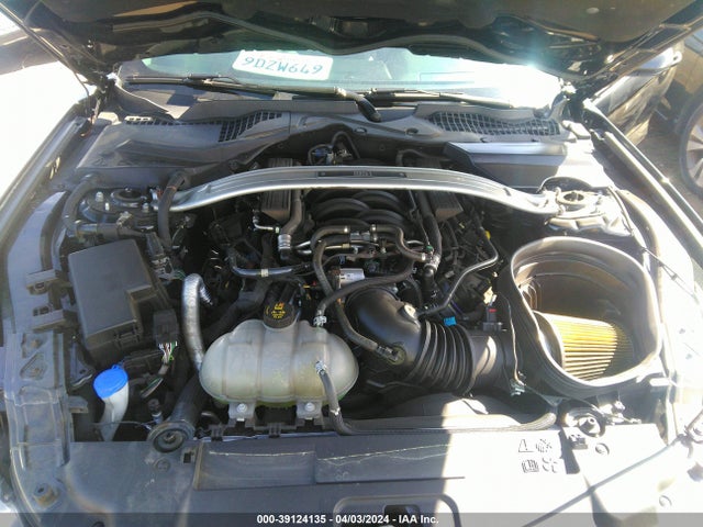 Ford Mustang Mach 1 Fastback 2022 1FA6P8R03N5555158 Image 10