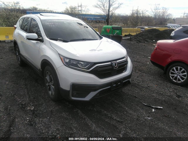 2020 5J6RW2H55LA018195 main image