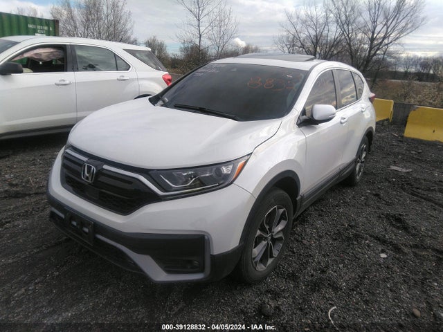 Honda Cr-v Awd Ex 2020 5J6RW2H55LA018195 Image 2