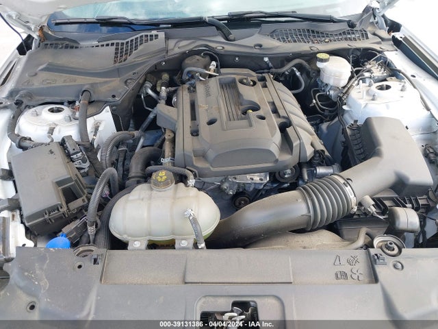 Ford Mustang Ecoboost Fastback 2020 1FA6P8TH5L5191336 Image 10