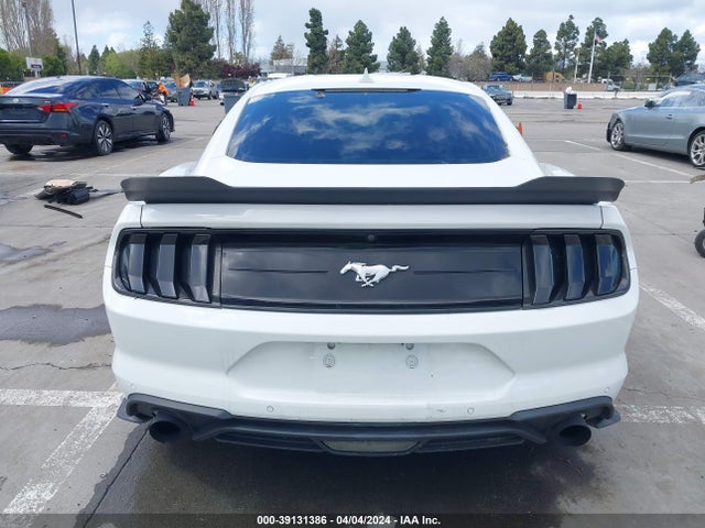 Ford Mustang Ecoboost Fastback 2020 1FA6P8TH5L5191336 Image 16