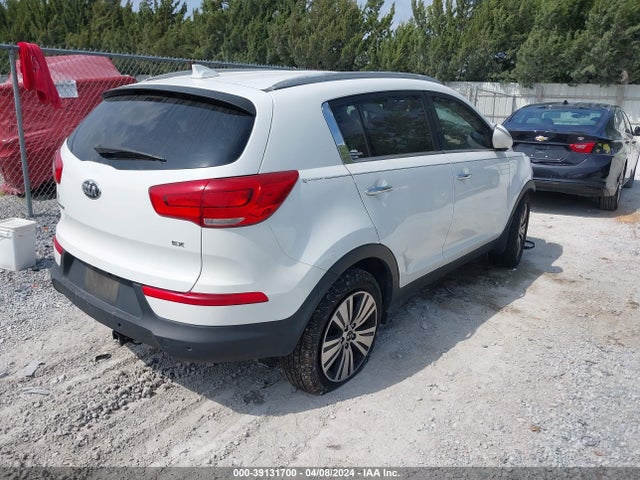 KIA Sportage Ex 2014 KNDPC3AC5E7560286 Image 4