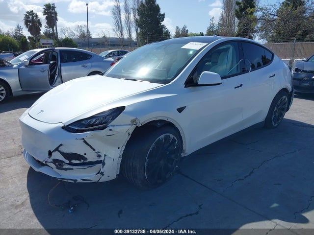 2021 TESLA MODEL Y 5YJYGDEE1MF095766 Photo 1