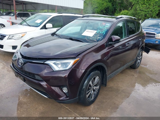 Toyota Rav4 Xle 2016 2T3RFREV1GW510796 Image 2