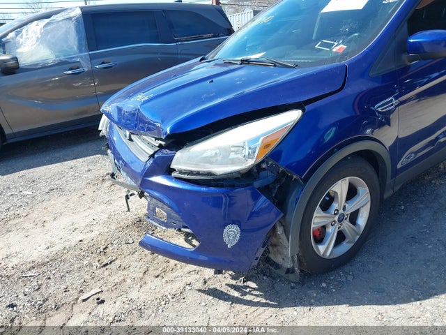 Ford ESCAPE SE 2014 1FMCU0GX7EUD25664 Image 6
