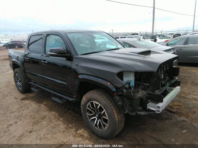 2023 3TYCZ5AN6PT167288 main image