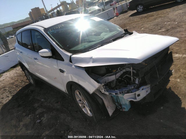 2019 1FMCU0GD1KUB11299 zdjęcie główne
