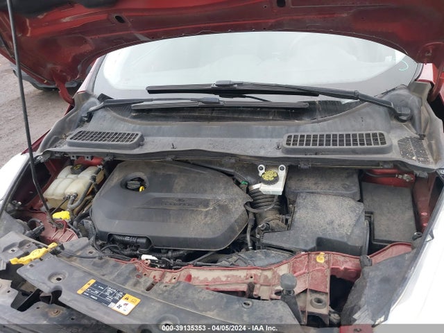 Ford ESCAPE SE 2014 1FMCU0GX7EUA84883 Image 10